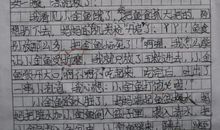 我的一家_700字