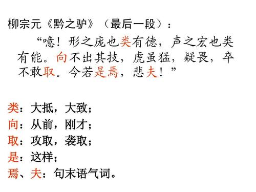 阅读“”感觉_1000字