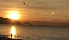 清晨的孤独_900字