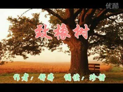 导致橡树树_300字