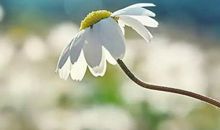 第一章——相知相遇_900字