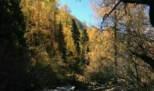 那片风景，独好！_1500字