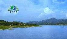 千钟醉 问君怜惜否_500字