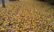 2014,谢谢你陪我走过_1500字