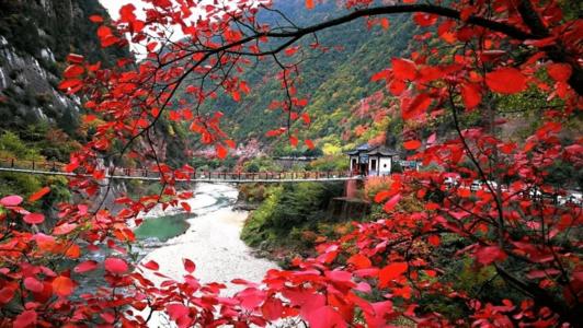 花卉灵魂秋华：第2章觉醒，锻炼_600字