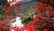 花魂秋华：第二章 觉醒，历练_600字