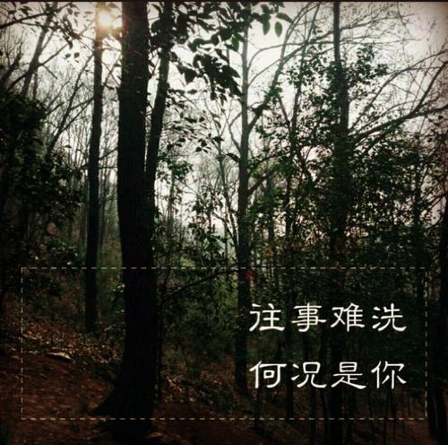 难以清洗过去，更不用说你_1200字