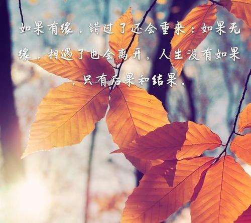 它的时候，你可以回到_800字