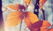 当错过还能重来_800字