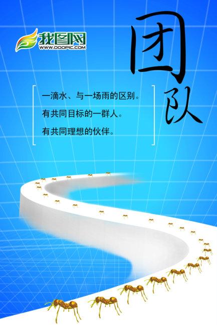 团队精神是最重要的_650字