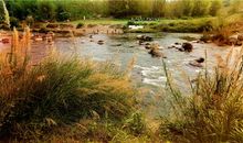 村子旁边的小溪，干涸了_1200字