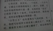 我家的臭牛_200字