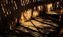 时光何往_1200字