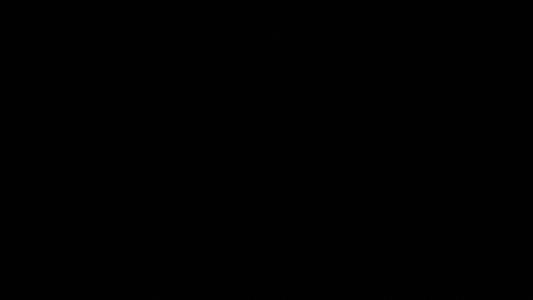 小姐，投降（1）_2000字