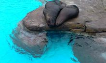 守护一颗琉璃心（五）加入_1200字