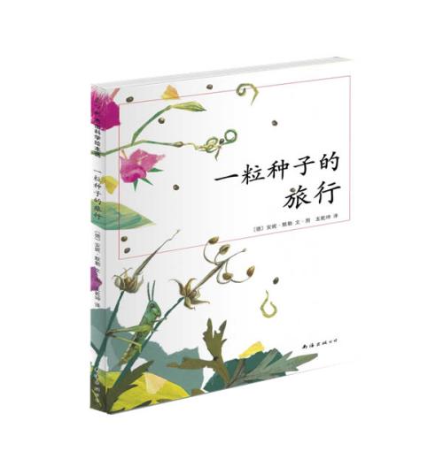 一个种子_300字