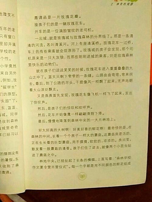 抓取冒险_500字