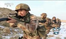 童狼特别突击队（三）_450字