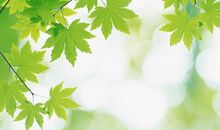 夏日阳光(1)_3000字