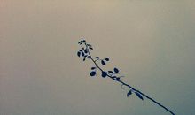 流年，谁陪谁走过_400字