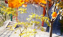 相遇，在秋天_2000字