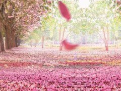 树下的花朵（二，三）_750字