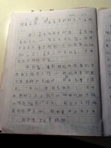 长城_300字