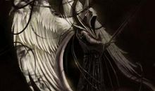 天使不是不坠落，而是敢于再飞_800字