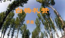 读《白杨》有感_550字