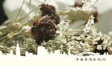 青春不彷徨_50字