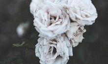 六年情，深似海_750字