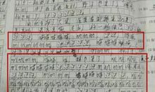 我的小堂弟_800字