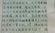 我的秘密_900字