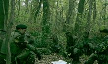 童狼特别突击队_500字