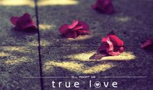 繁花落尽_2000字