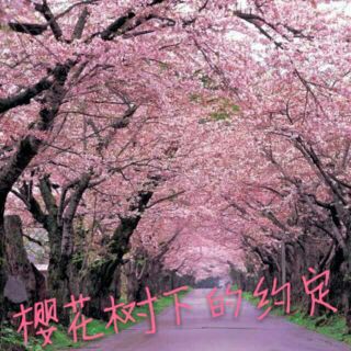 樱花树，你，我，仍然_1500字