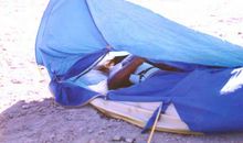 晓月圆舞曲(第一章——第二节)_500字