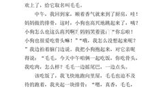 我家的“淘气包”_400字