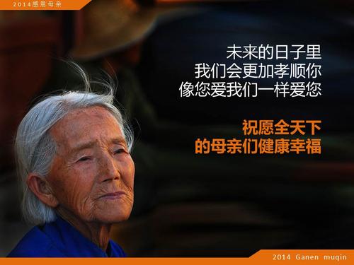 伟大的母亲_350字