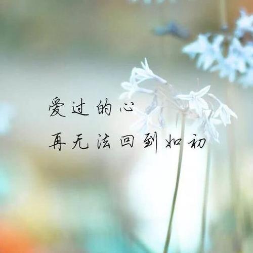 十三岁，我有更关注的_500字