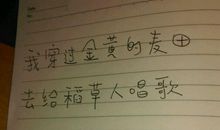 阿O——跨进了城市_900字