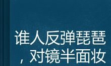为谁而梳半面妆_1000字
