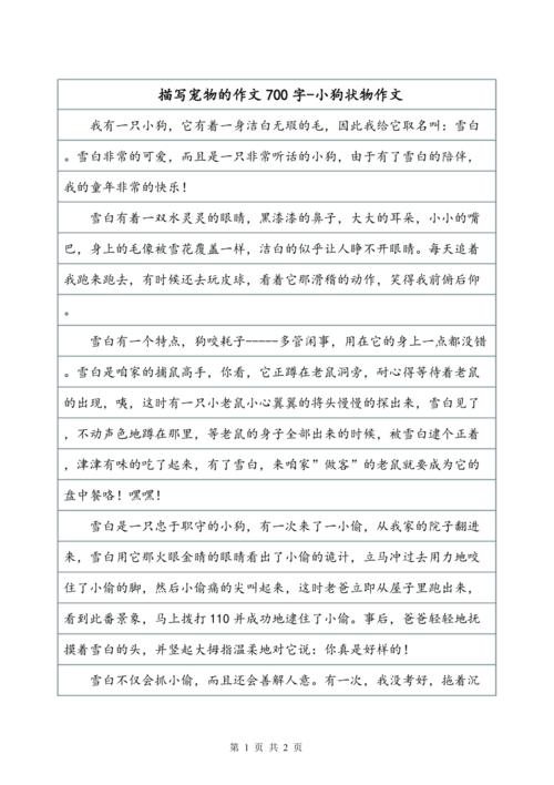 最后一次_700字