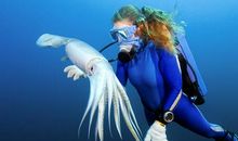 鱿鱼的故事（一）_550字