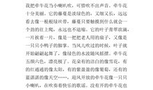 伤痕累累的爱_600字