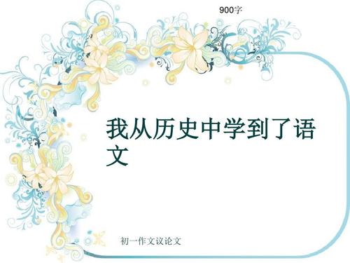 历史_900字