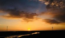 愿我们都被这世界温柔以待_1500字