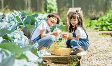 给孩子让步_700字