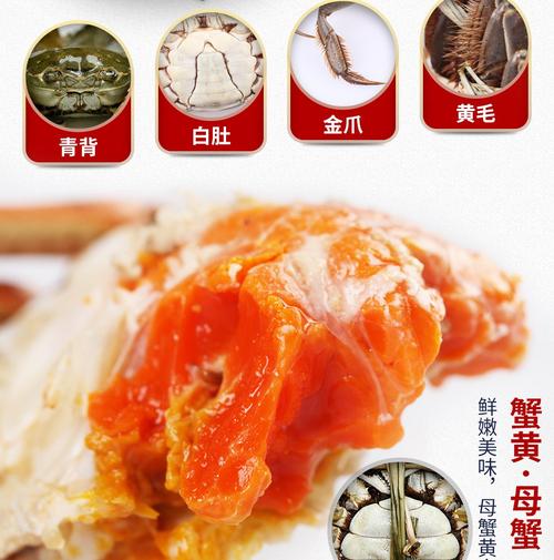 但他也是英雄。当他二十四岁时，他自愿加入了抗日队并参加了第八排队军队。这一次，他的心不再如此死了，他知道，如果你想活下去，你必须像每个人一样，否则机会无法忍受，它将被淘汰。所以他努力工作，站在战场的前线，英雄杀戮，他不怕死，我被人们触动，甚至那些认为他是个傻瓜的人，我也想他是一个男人，我也有几次。