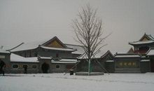 真情随处可见　_900字